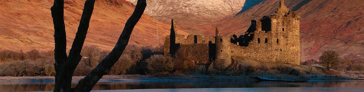 Banner image for OS Wallpaper Download: December 2023 banner image