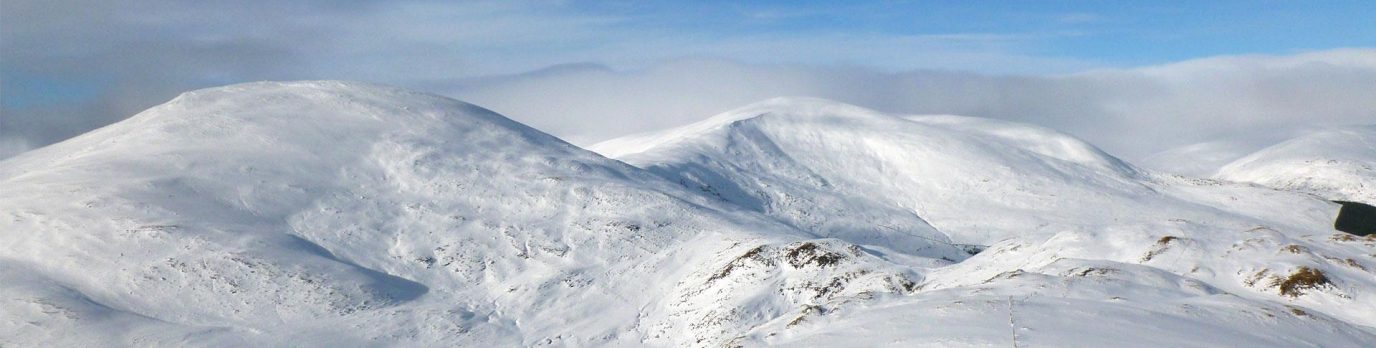 Banner image for OS Wallpaper Download: January 2024 banner image