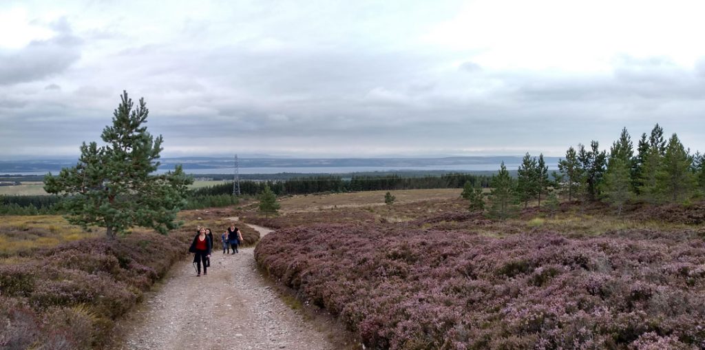Beinn Bhuidhe Bheag: the route up