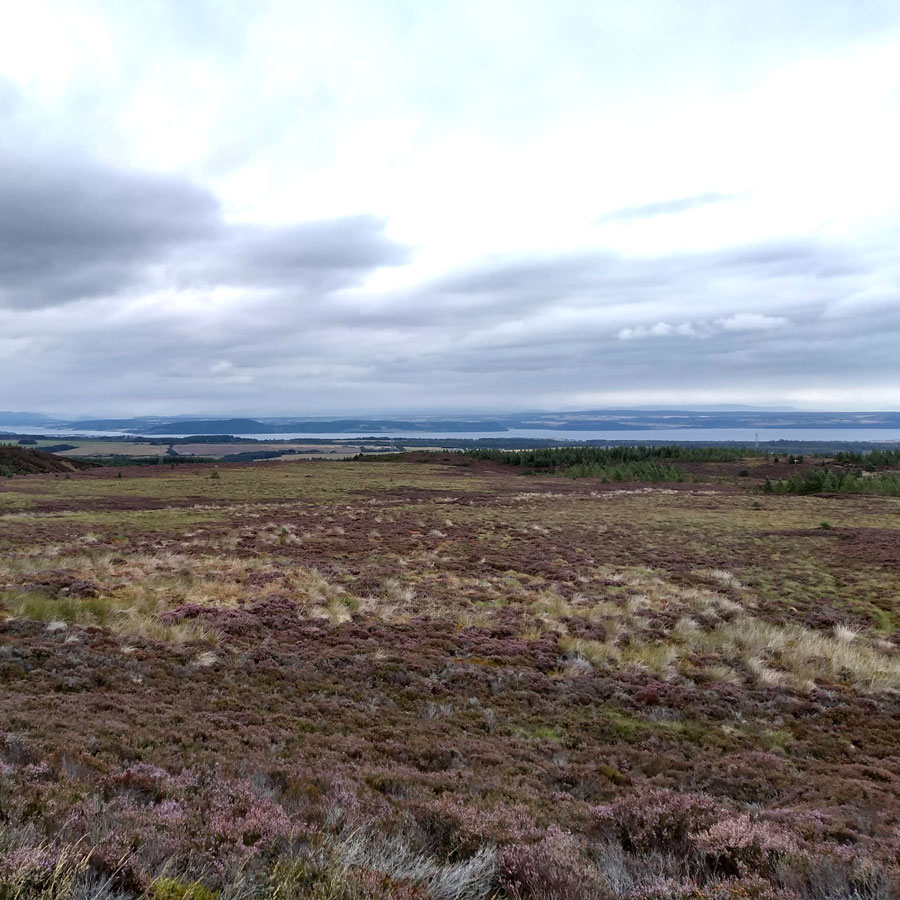 Beinn-Bhuidhe-Bheag-Circular-Walk_4