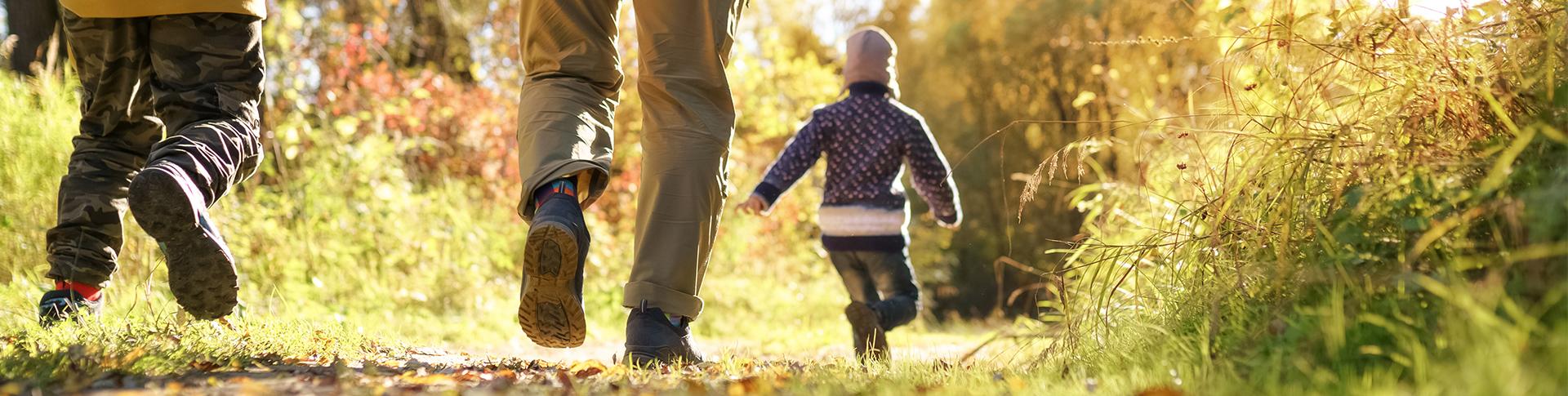 best-short-walks-hero.2459c66550e35ba20830f8037c980982