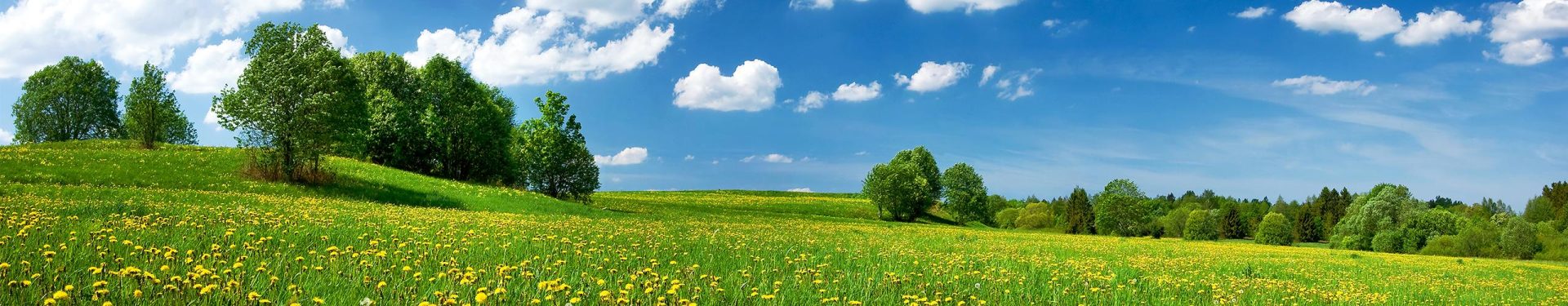 countryside-code-hero.2459c66550e35ba20830f8037c980982