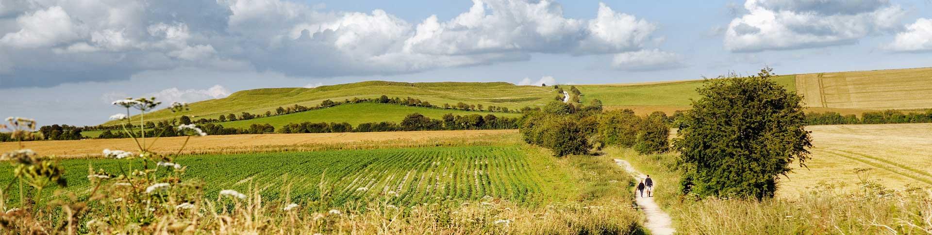 dream-hike-banner2.2459c66550e35ba20830f8037c980982