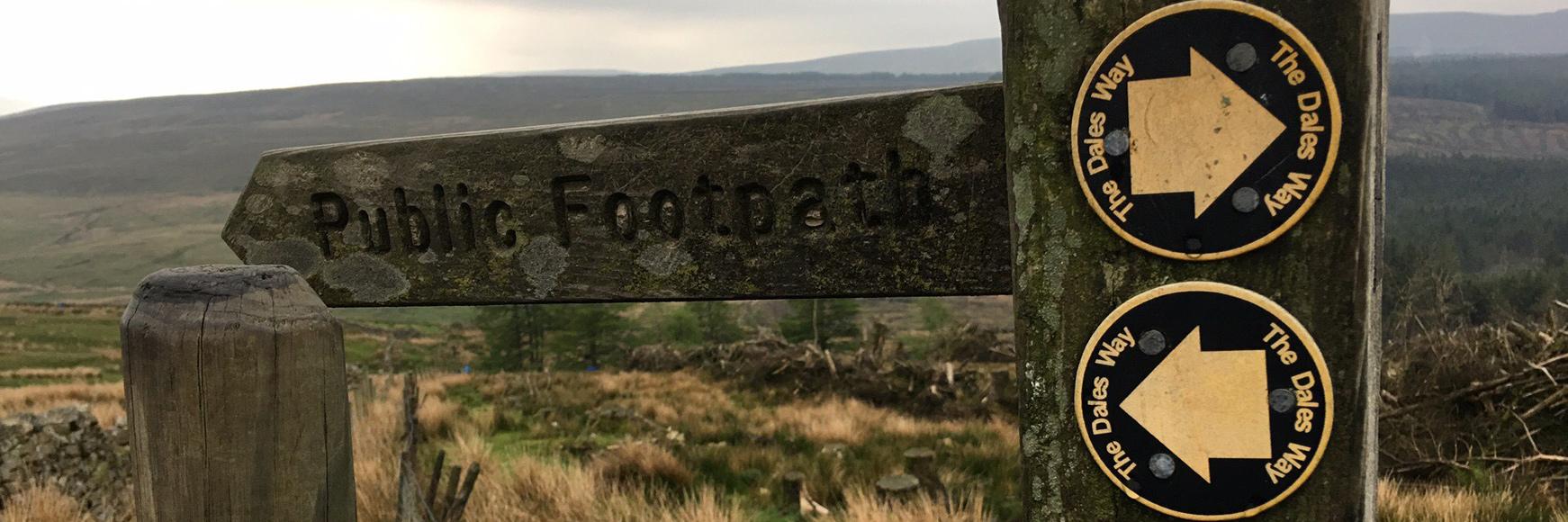 emilyt_walk_hero.d635ad0f1f03d16ac80ae9884a3c9df0