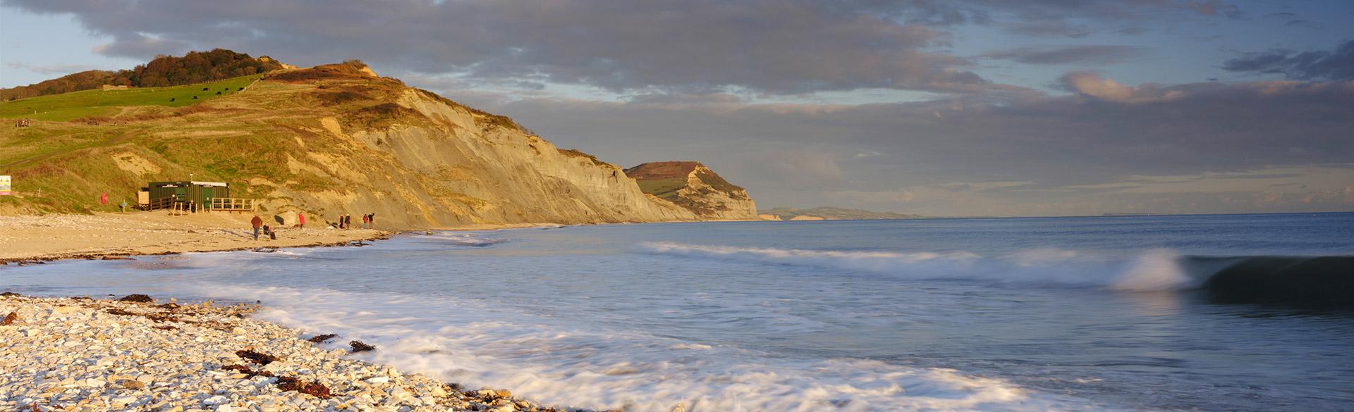 fossil_wildlife_locatons_hero.d635ad0f1f03d16ac80ae9884a3c9df0