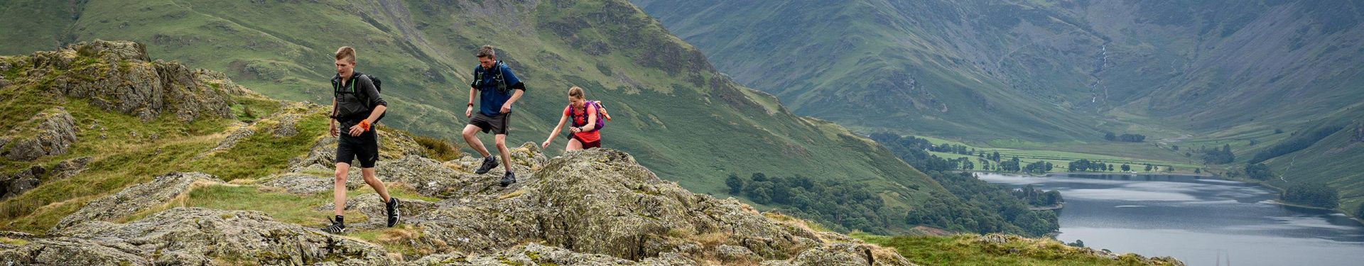 frog-graham-hero2.2459c66550e35ba20830f8037c980982