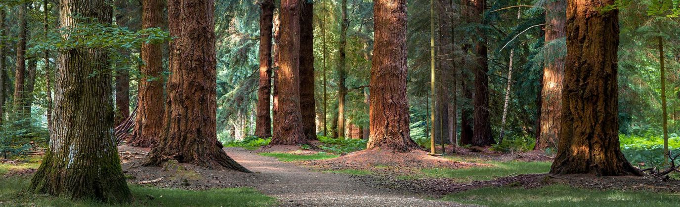 guide_gravel_biking_hero1.d635ad0f1f03d16ac80ae9884a3c9df0