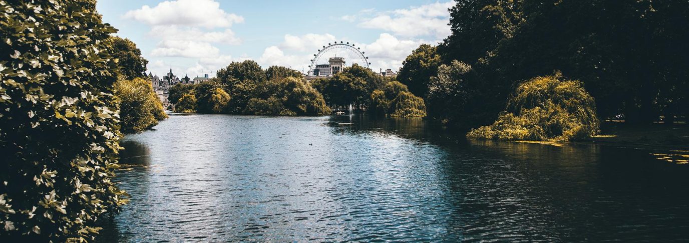 londonwildcity_herobanner.d635ad0f1f03d16ac80ae9884a3c9df0