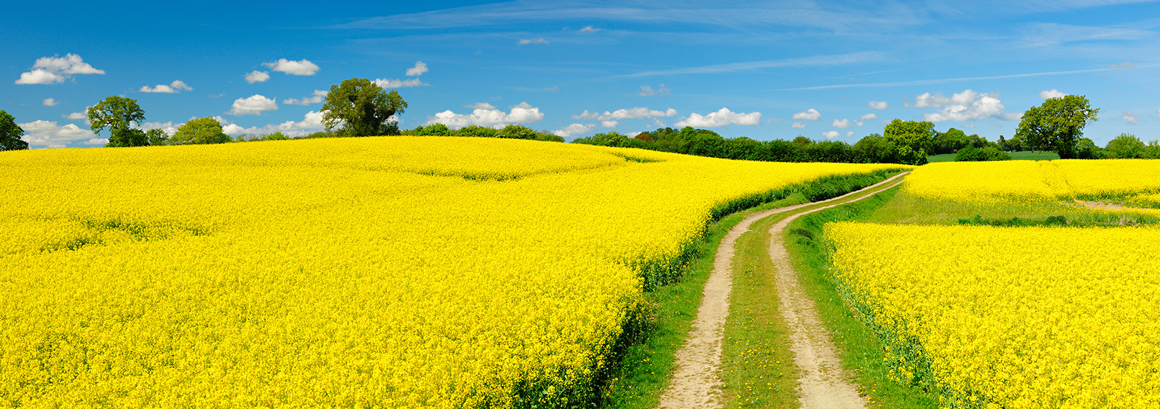 mental_health_hero4.dfb116b24fe1749d7b8d7d2da6a64dab