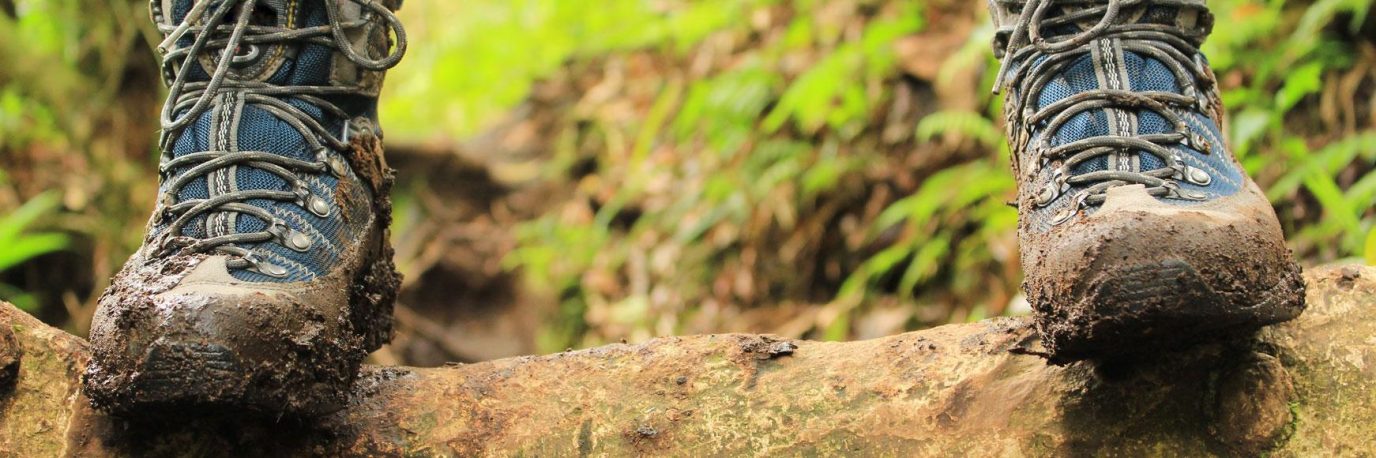 muddy-walks-banner.b9af48b8eb46879652f0d492548a9f9a