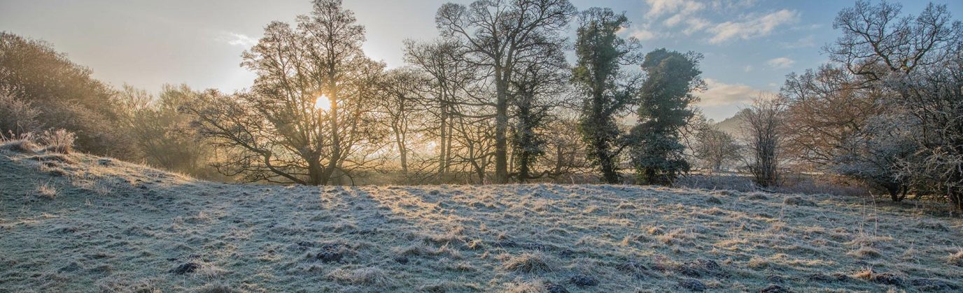 new_year_day_walk_hero.d635ad0f1f03d16ac80ae9884a3c9df0