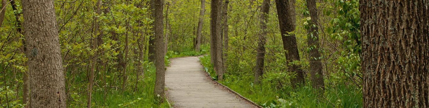 stile_free_accessible_walks_hero.d635ad0f1f03d16ac80ae9884a3c9df0