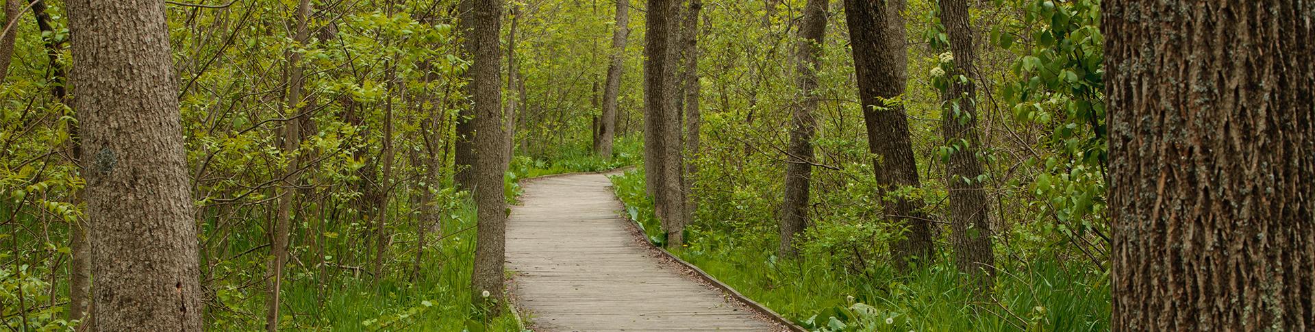 stile_free_accessible_walks_hero.d635ad0f1f03d16ac80ae9884a3c9df0