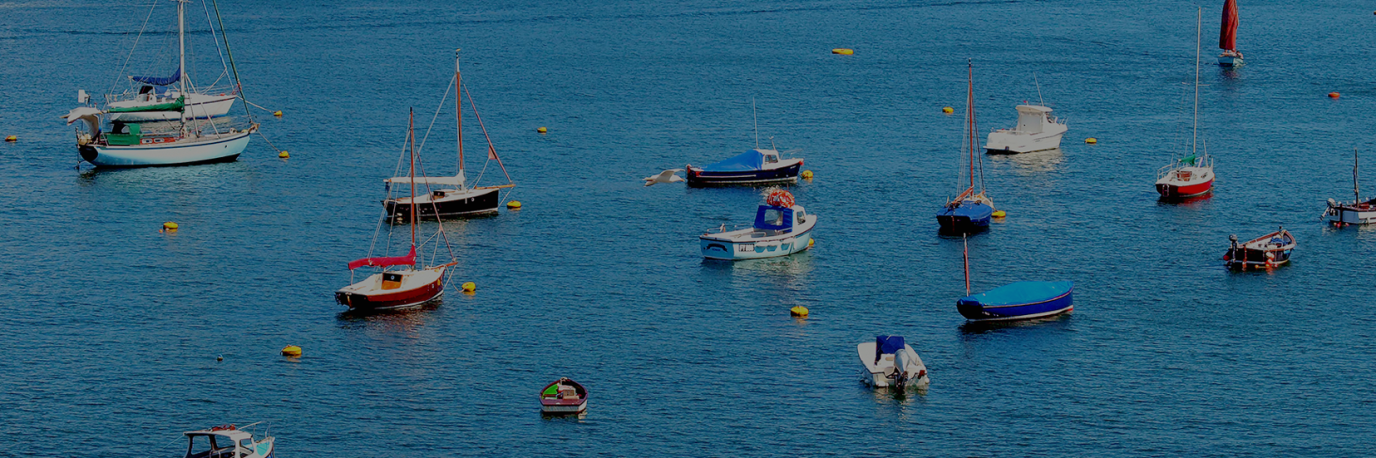 swcpbanner-2.f509f35fc38bc25adc361e0ae7a45bf3