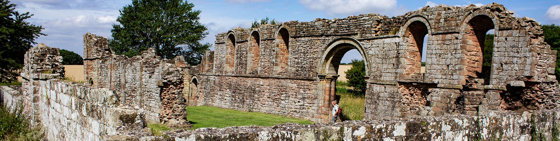 wild-ruins-families-hero.2459c66550e35ba20830f8037c980982