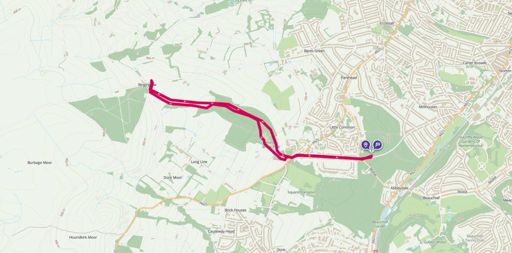 Limb Valley – a hidden woodland walk route
