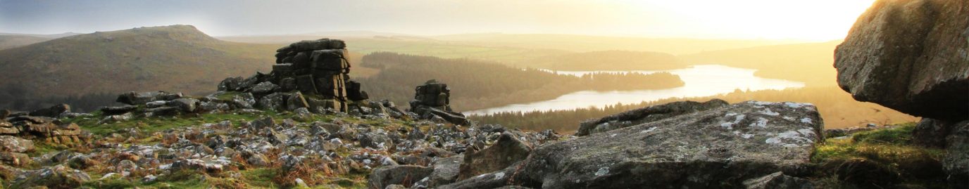 Banner Dartmoor