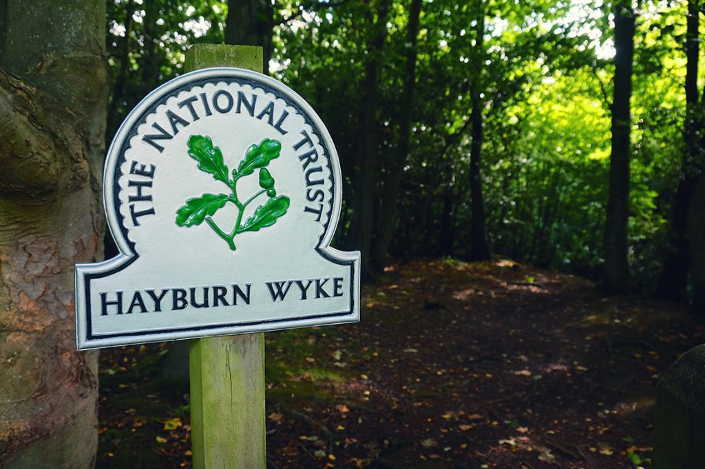 Hayburn Wyke Walk - Image: Tony Bartholomew / NYMNPA