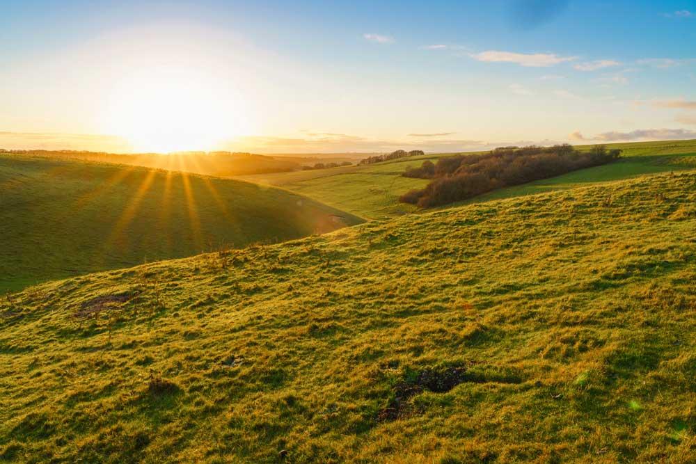 Wessex Downs