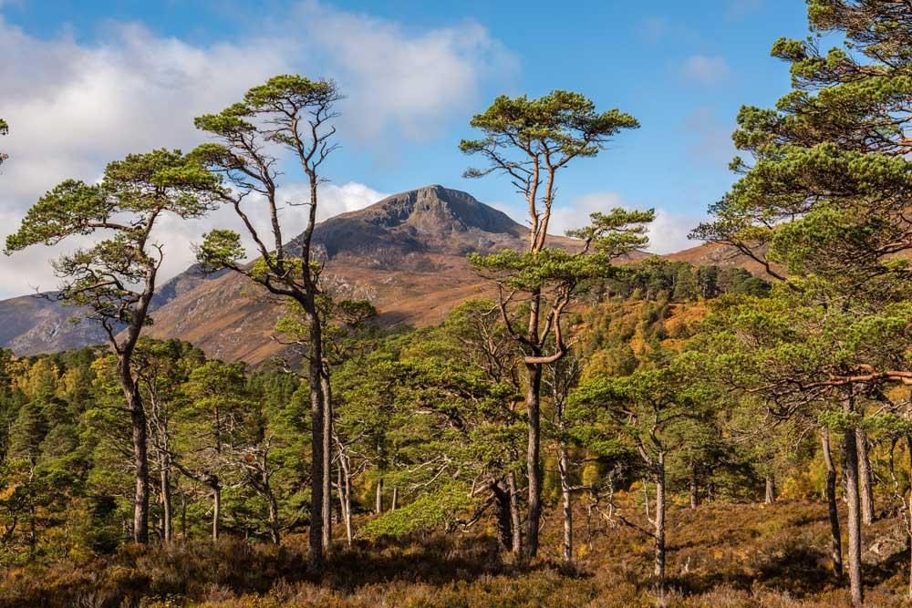 Glen Affric