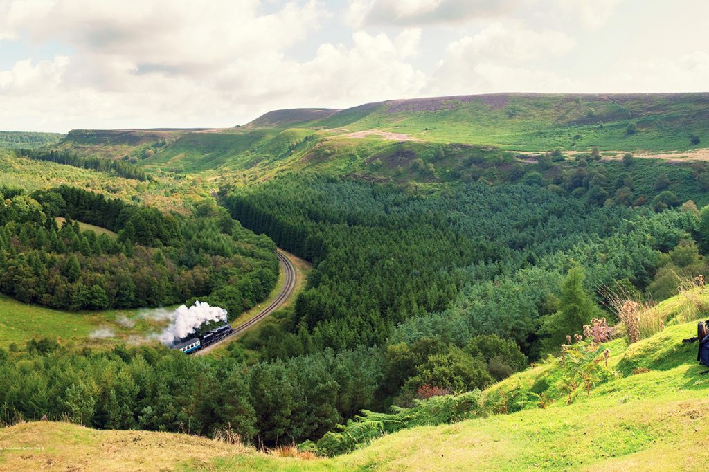 NYMR at Newtondale