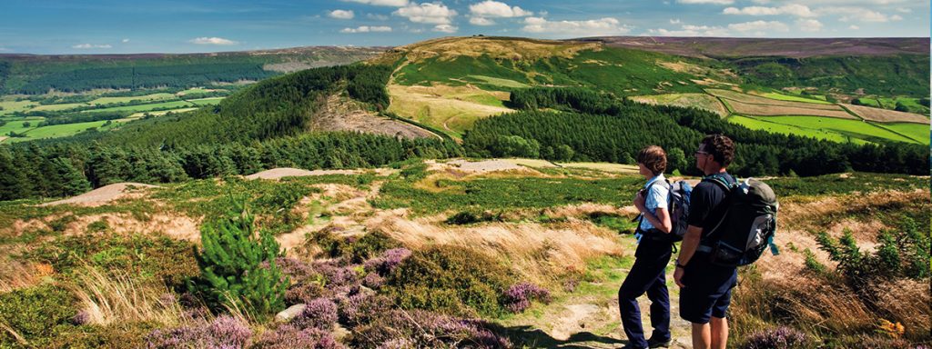Walkers on Cleveland Way