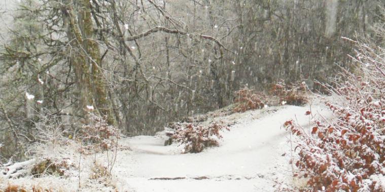 Snow covered footpath