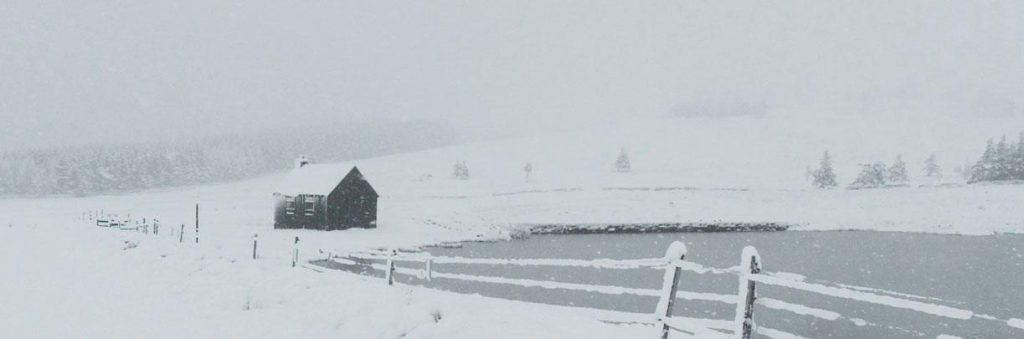Snow-covered landscape