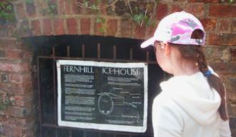 Looking at the icehouse