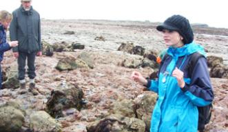 Professional fossil hunter