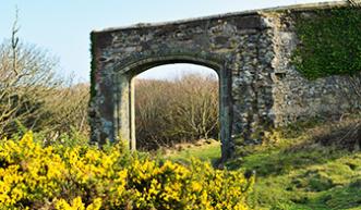 Walled gardens arch