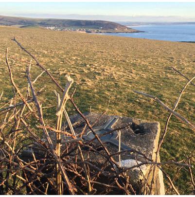 Trig pillar in a bush