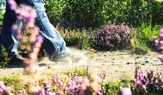 Closeup of feet in a dusty footpath