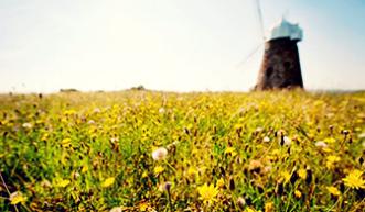 Windmill in a field
