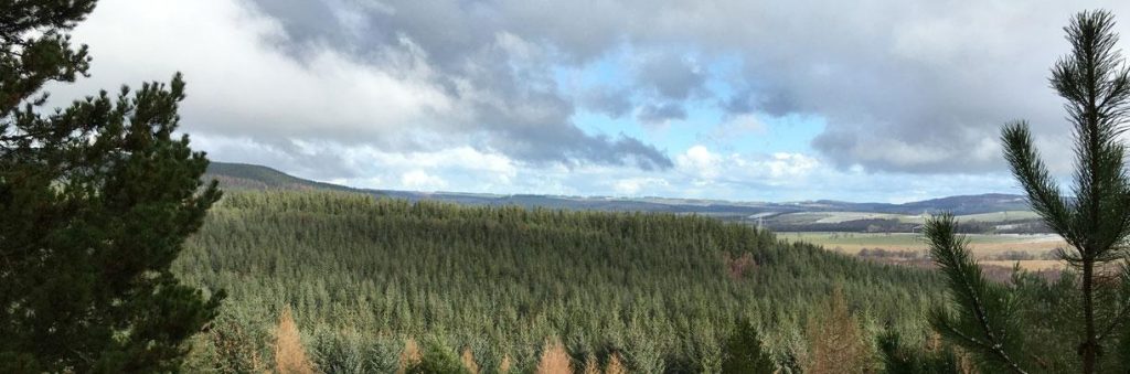 View from the peak of Thruxton