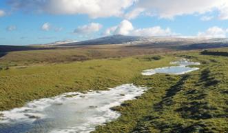 Remains of Sourton Ice Factory  Image: DNPA