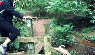 Climbing over a stile