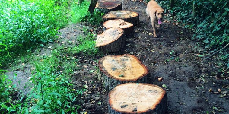 Wooden stepping stones