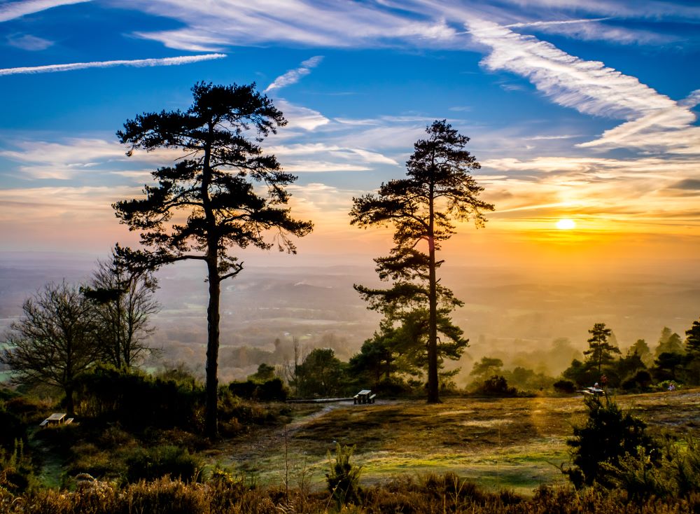 Leith Hills Bridleway