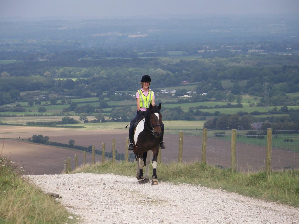 South Downs Bridleway