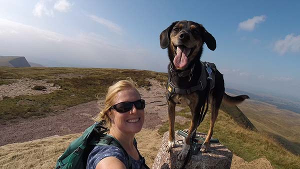 Bea the dog- Sal Thornton