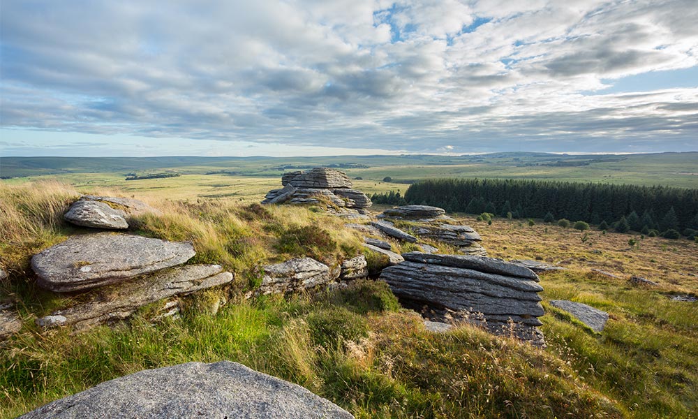 Bellever Tor