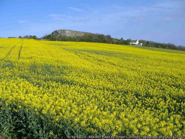 Maiden Paps - image: Roger Cornfoot