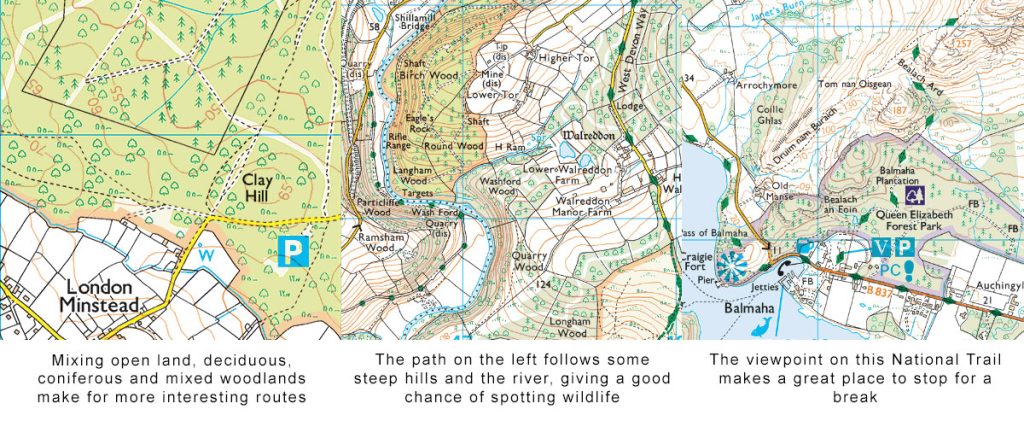 route-planning-features