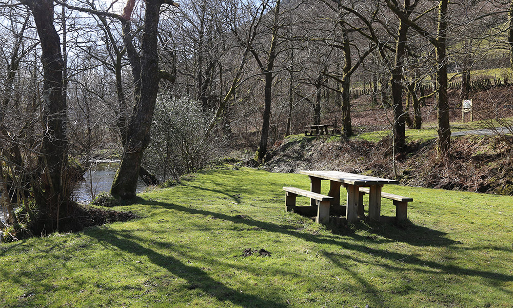 winter picnic