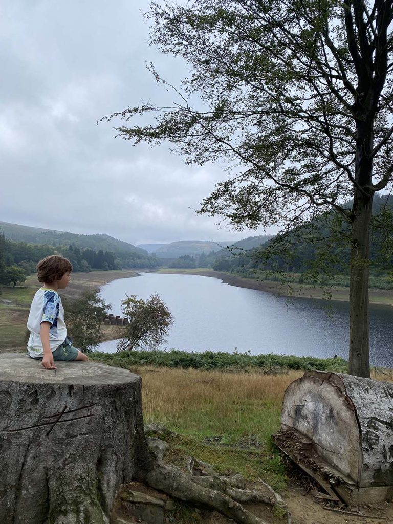 Boy in front of derwent Reservoir on a tree stump