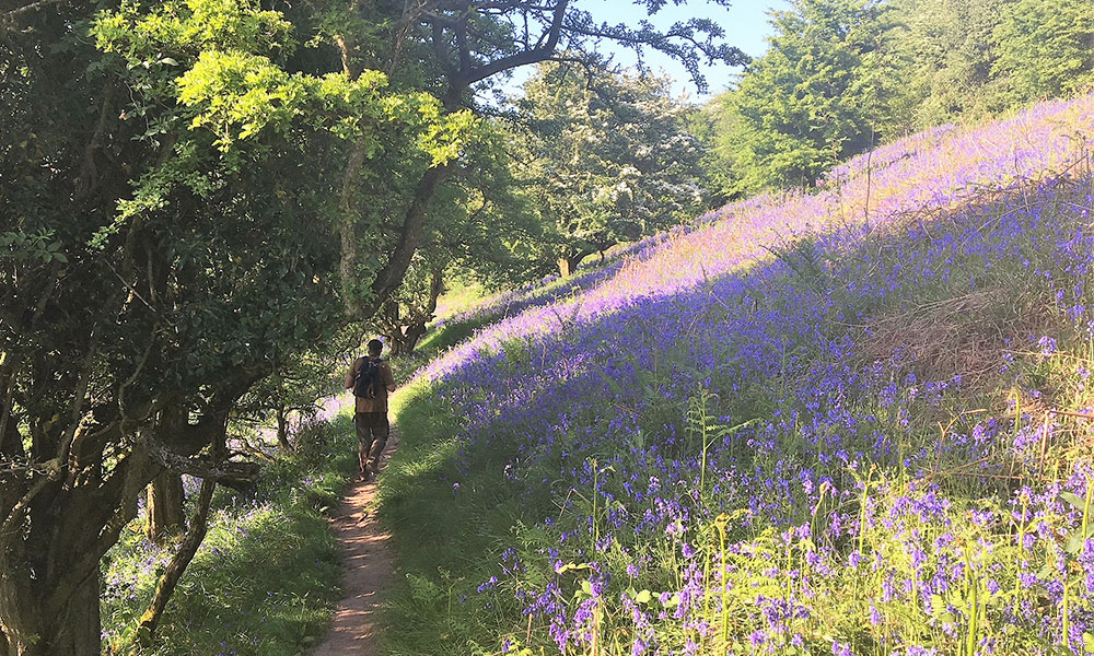 Skirrid spring walk