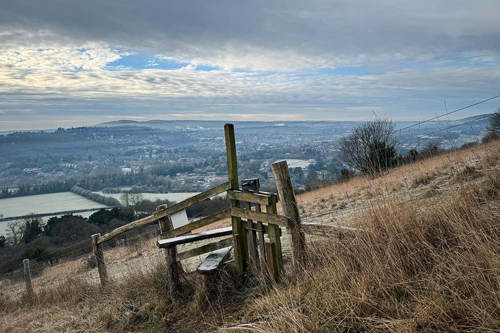 Box Hill Circular Walk 