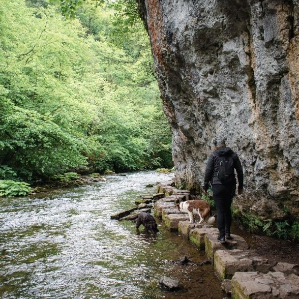 Chee Dale stepping stones