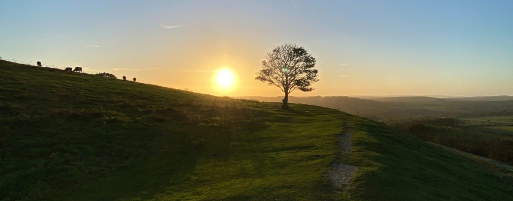 Cissbury Ring Circular Walk